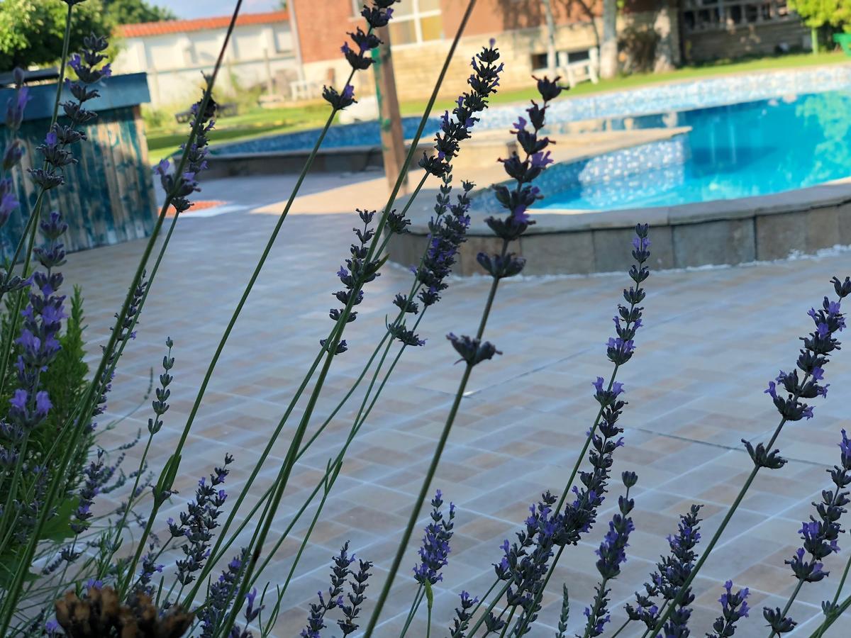 Hotel Galeria In The Garden Plovdiv Esterno foto